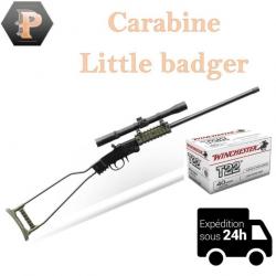 Carabine pliante little badger 22 LR OD- CHIAPPA FIREARMS + cartouches