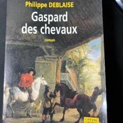 Roman Gaspard des Chevaux de Philippe Deblaise
