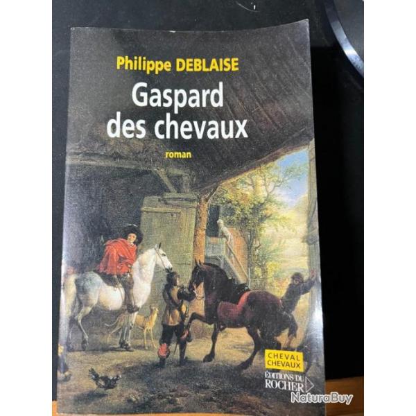 Roman Gaspard des Chevaux de Philippe Deblaise
