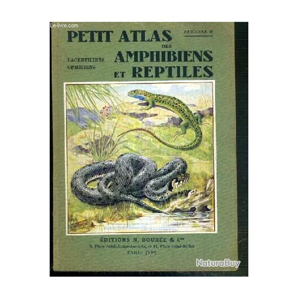 Petit atlas des lacertidiens et ophidiens - d. Boube