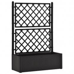 Jardinière lit surélevé plantes fleurs jardin treillis système d'arrosage anthracite 02_0001233