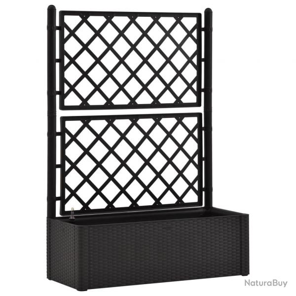 Jardinire lit surlev plantes fleurs jardin treillis systme d'arrosage anthracite 02_0001233