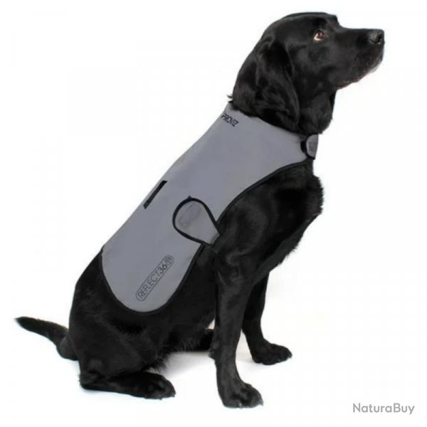 DOG COAT MR veste rflechissante et impermable pour Chien taille M