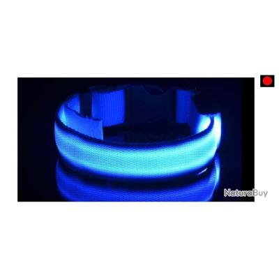 Collier Lumineux LED Pour Chien Rechargeable USB - 3 Modes, étanche, Réglable - Visibilité Nocturne Pour Promenades En Sécurité - 13