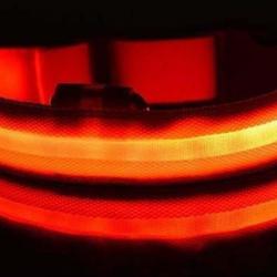 Collier Chien Taille S Réglable à Led Lumineux Rechargeable par USB Etanche Sécurité la Nuit Rouge
