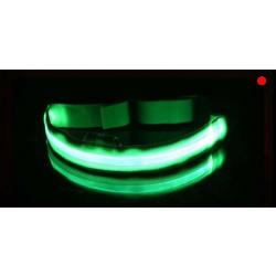 Collier Chien Taille XL Réglable à Led Lumineux Rechargeable par USB Etanche Sécurité la Nuit Vert