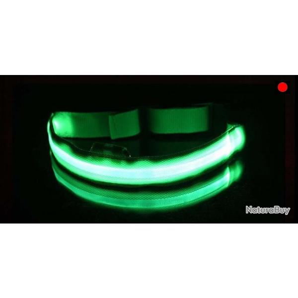 Collier Chien Taille XL Rglable  Led Lumineux Rechargeable par USB Etanche Scurit la Nuit Vert