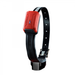 COLLIER GPS TRACKER R10i