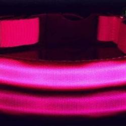 Collier Chien Taille XL Réglable à Led Lumineux Rechargeable par USB Etanche Sécurité la Nuit Rose