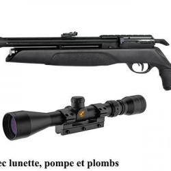 Carabine PCP GAMO Arrow 4,5 mm (19,9 joules) + Pompe