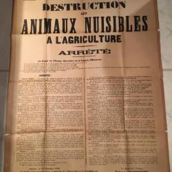 GRANDE AFFICE CHASSE  DESTRUCTION DES ANIMAUX NUISIBLES -  L'YONNE arrêté 1916