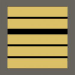 Grade militaire haute visibilité jaune Colonel