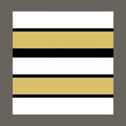 Grade militaire haute visibilité blanc Lieutenant-colonel
