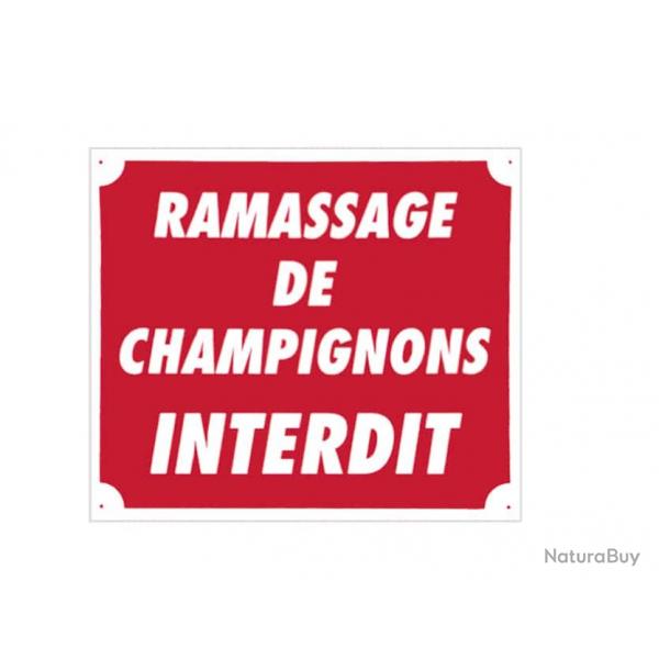 PANNEAU RAMASSAGE DE CHAMPIGNONS INTERDIT 30x25cm (promo)