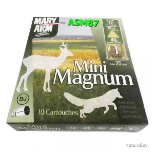 Mini Magnum N1 40GR Mary Arm Plomb Laitonn