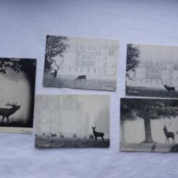 lot de 5 cartes postales non écrites - enchantement de la forêt - thème cerf