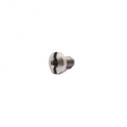 Vis de plaquettes HEX+FLAT for 1911, Longue, INOX