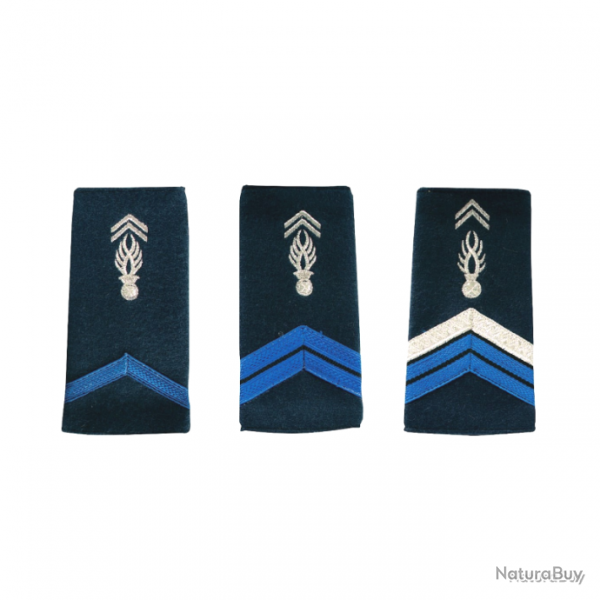 Grade Gendarmerie Fourreau Gendarme Adjoint Brod Patrol Equipement Bleu 1re Classe