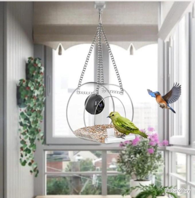 Mangeoire à oiseaux - avec ventouse pour la fenêtre