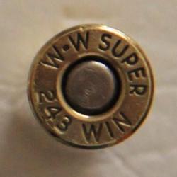 243 Winchester     (W-W SUPER)