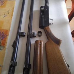 a vendre fusil semi automatique avec deux canons