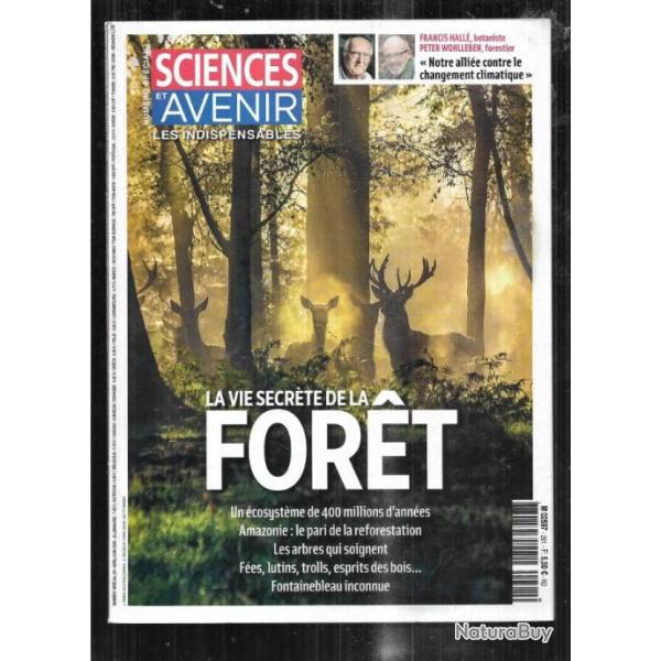 sciences et avenir 201 avril juin 2020 la vie secrte de la fort