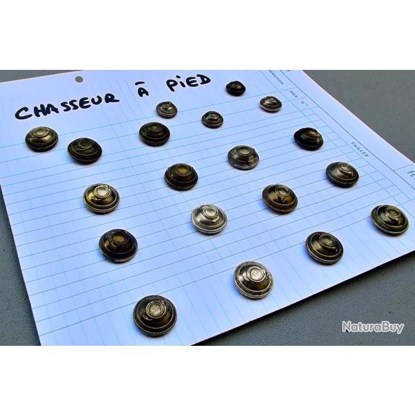 LOT DE 19 BOUTONS D'UNIFORME OFFICIER CHASSEURS A PIED