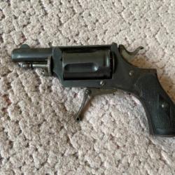 Beau VELODOG Calibre 6 mm