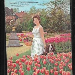 Catalogue hollandais de fleurs automne 1958 , rare.