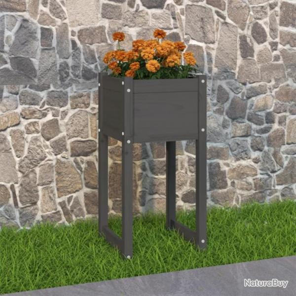 Jardinire Gris 40x40x81 cm Bois massif de pin