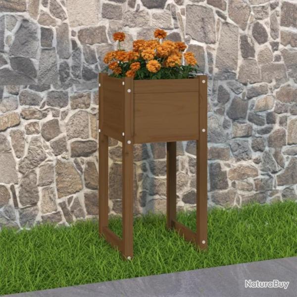 Jardinire Marron miel 40x40x81 cm Bois massif de pin