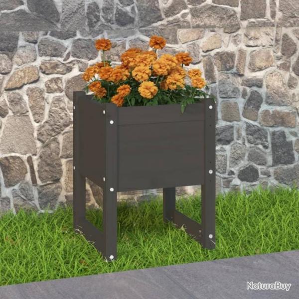 Jardinire Gris 40x40x52,5 cm Bois massif de pin