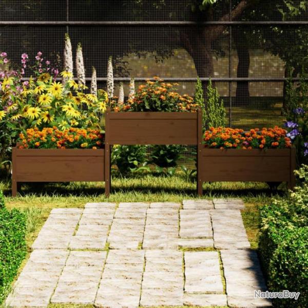 Jardinire Marron miel 245,5x44x75 cm Bois massif de pin