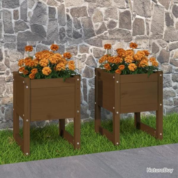 Jardinires 2 pcs Marron miel 40x40x52,5 cm Bois massif de pin