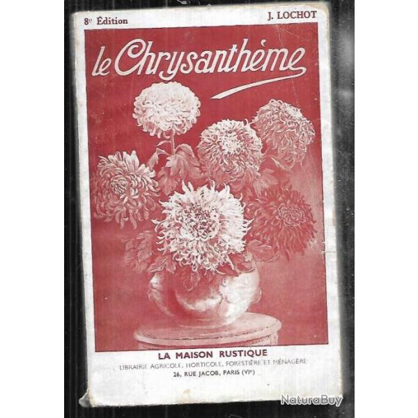 le chrysanthme de j.lochot