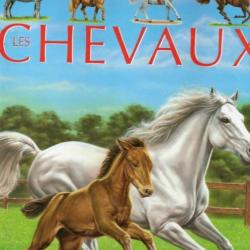 les chevaux série l'imagerie animale d'agnès vandewielle