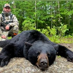 Ours au Canada