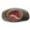 petites annonces chasse pêche : Bague Romaine : bronze, Intaille Jaspe (3e siecle),  Tête de Gryllos. Roman Ring intaglio,III cen