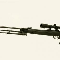 CARABINE + BIPIED GAMO G-MAGNUM 1250 carabine CAL. 6,35 mm,19,9 julios + KIT PISTON ( 45 joules )