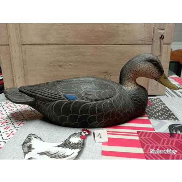Appelant bois canard black duck