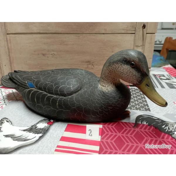 Appelant bois canard black duck n2