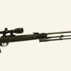 CARABINE + BIPIED G-MAGNUM GAMO 1250 carabine Cal. 6,35 mm,19,9 julios + KIT PISTON ( 45 joules )