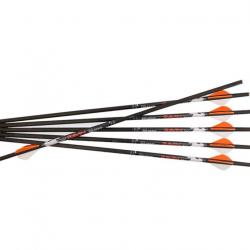 Lot de 6 Flèches Ravin Crossbows LLC 500 grains 0.001