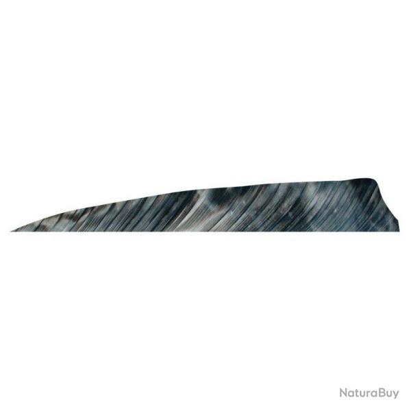 GATEWAY - Plumes naturelles Shield 4" RH TRE TRE BRUN