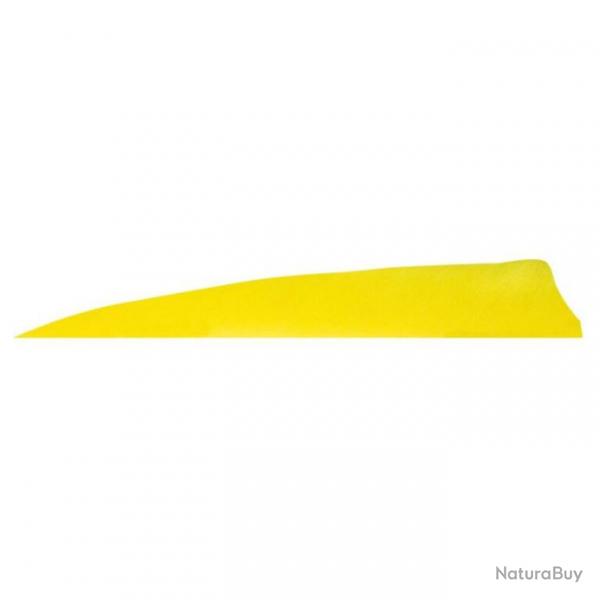 GATEWAY - Plumes naturelles Shield 4" LH Unie JAUNE