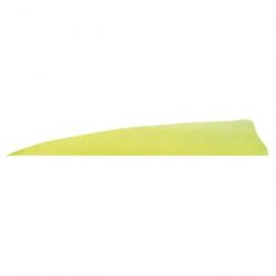 GATEWAY - Plumes naturelles Shield 4" LH Unie JAUNE FLUO