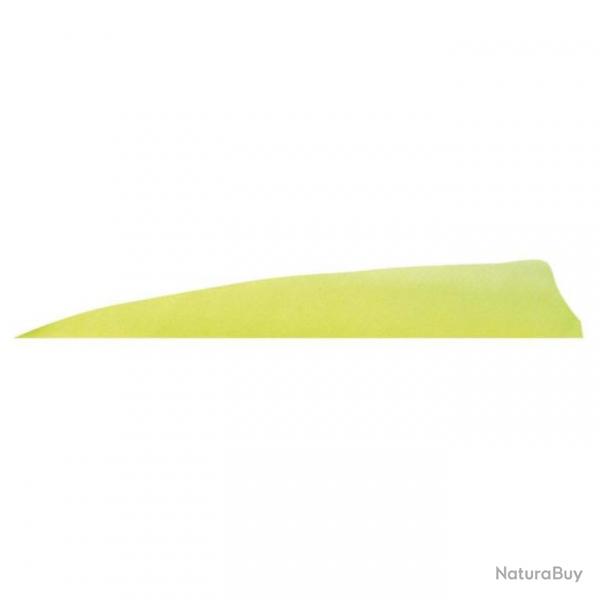 GATEWAY - Plumes naturelles Shield 4" LH Unie JAUNE FLUO