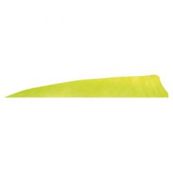 GATEWAY - Plumes naturelles Shield 4" LH Unie LEMON LIME