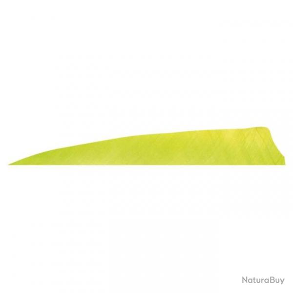 GATEWAY - Plumes naturelles Shield 4" LH Unie LEMON LIME