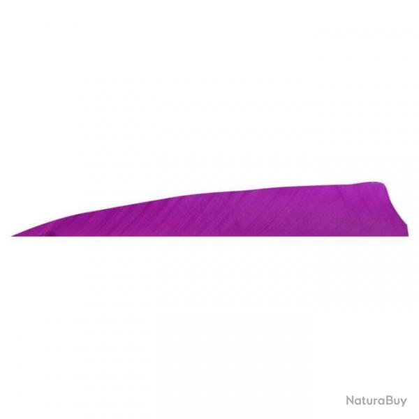 GATEWAY - Plumes naturelles Shield 4" LH Unie VIOLET